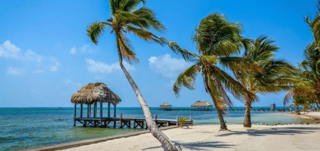 Belize - Financial Statement Return & Annual Business Tax Return