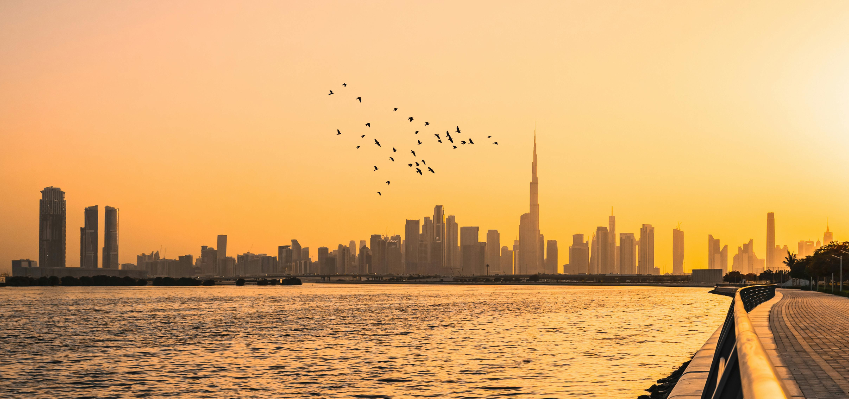 RAK ICC as a Key Registry for Economic Substance in the UAE